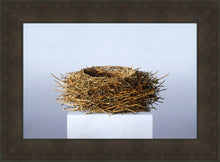 Load image into Gallery viewer, Nest
