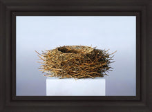 Load image into Gallery viewer, Nest
