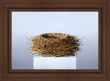 Load image into Gallery viewer, Nest
