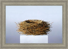 Load image into Gallery viewer, Nest
