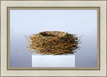 Load image into Gallery viewer, Nest
