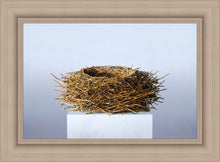Load image into Gallery viewer, Nest
