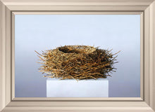 Load image into Gallery viewer, Nest
