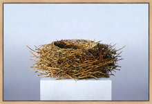 Load image into Gallery viewer, Nest
