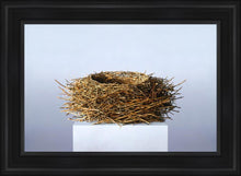 Load image into Gallery viewer, Nest
