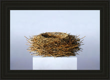 Load image into Gallery viewer, Nest
