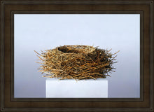 Load image into Gallery viewer, Nest
