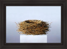 Load image into Gallery viewer, Nest
