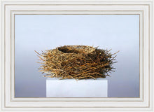 Load image into Gallery viewer, Nest
