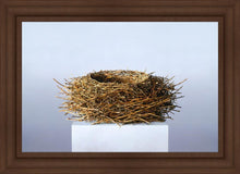 Load image into Gallery viewer, Nest
