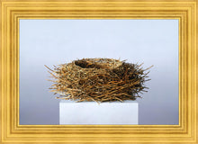 Load image into Gallery viewer, Nest
