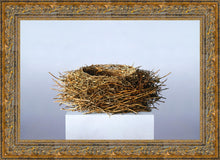 Load image into Gallery viewer, Nest
