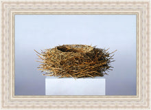 Load image into Gallery viewer, Nest
