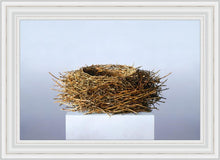 Load image into Gallery viewer, Nest
