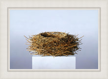 Load image into Gallery viewer, Nest
