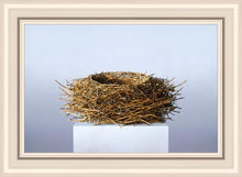 Load image into Gallery viewer, Nest
