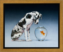 Load image into Gallery viewer, Dane and Fish
