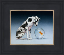 Load image into Gallery viewer, Dane and Fish
