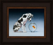 Load image into Gallery viewer, Dane and Fish
