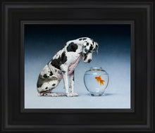 Load image into Gallery viewer, Dane and Fish

