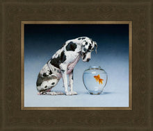 Load image into Gallery viewer, Dane and Fish
