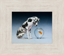 Load image into Gallery viewer, Dane and Fish

