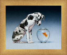 Load image into Gallery viewer, Dane and Fish

