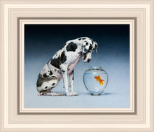 Load image into Gallery viewer, Dane and Fish
