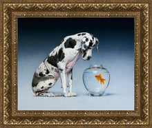 Load image into Gallery viewer, Dane and Fish
