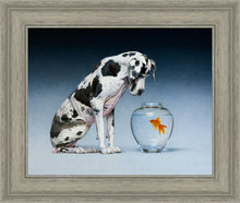 Load image into Gallery viewer, Dane and Fish
