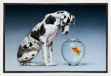 Load image into Gallery viewer, Dane and Fish
