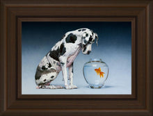 Load image into Gallery viewer, Dane and Fish
