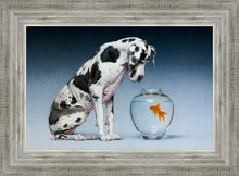 Load image into Gallery viewer, Dane and Fish
