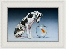 Load image into Gallery viewer, Dane and Fish
