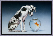 Load image into Gallery viewer, Dane and Fish
