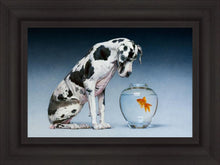 Load image into Gallery viewer, Dane and Fish
