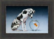 Load image into Gallery viewer, Dane and Fish
