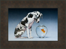 Load image into Gallery viewer, Dane and Fish

