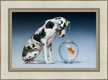 Load image into Gallery viewer, Dane and Fish
