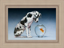 Load image into Gallery viewer, Dane and Fish
