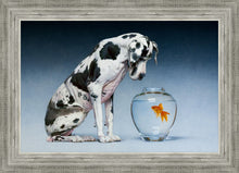 Load image into Gallery viewer, Dane and Fish
