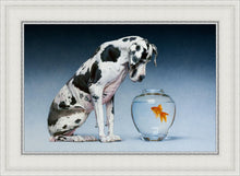 Load image into Gallery viewer, Dane and Fish
