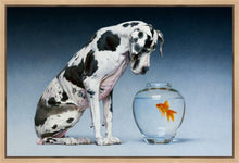 Load image into Gallery viewer, Dane and Fish
