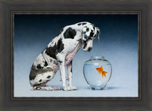 Load image into Gallery viewer, Dane and Fish
