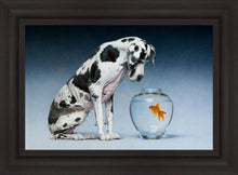 Load image into Gallery viewer, Dane and Fish
