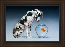 Load image into Gallery viewer, Dane and Fish
