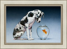 Load image into Gallery viewer, Dane and Fish
