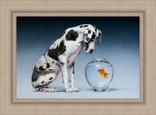 Load image into Gallery viewer, Dane and Fish
