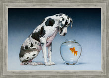 Load image into Gallery viewer, Dane and Fish

