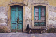Load image into Gallery viewer, Black Cat
